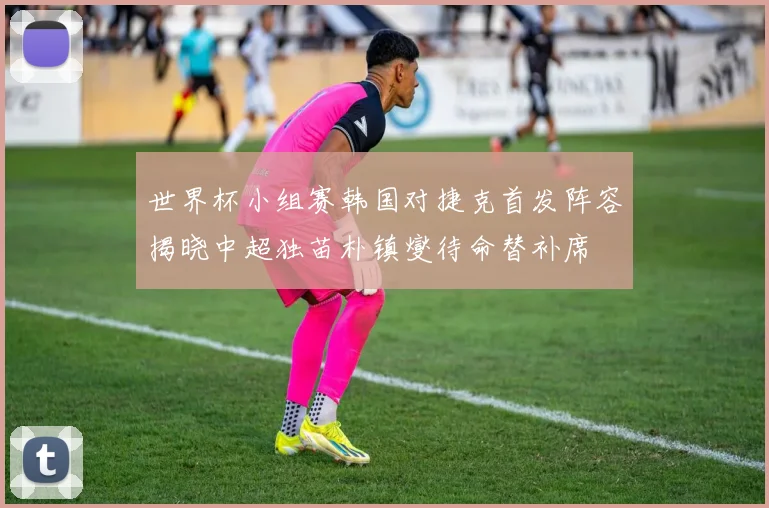 世界杯小组赛韩国对捷克首发阵容揭晓中超独苗朴镇燮待命替补席
