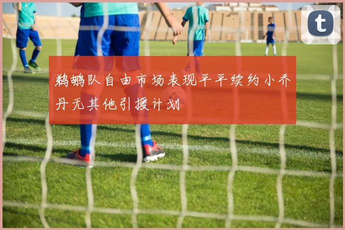 鹈鹕队自由市场表现平平续约小乔丹无其他引援计划